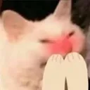 hehe