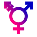 Gender_sign_bold_pink_and_blue