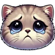 kazeesSadkitty
