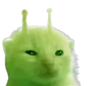 glorp