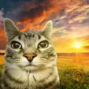 istockphoto1130885929612x6121