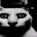 9reaction 9reaction