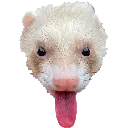 BLEEEEH