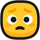 Worried_face_256