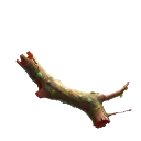 branch