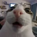 Ivehadenough