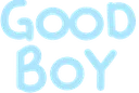 DoF_goodboy