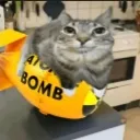 catnuke catnuke
