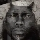 catfromrednote