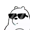 polarcool