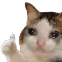 Ok_mowa