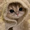 cute cute
