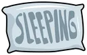 RLCS_sleeping