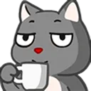 cat cat