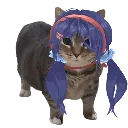 MitaCat