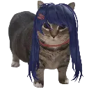 KindMitaCat