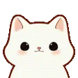 yes