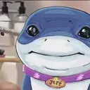 CognetryJeffStare CognetryJeffStare