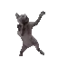 CatDancing