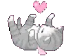 pet_kittyzo pet_kittyzo