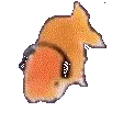 fishJAM fishJAM
