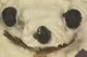 anxiousdogcake