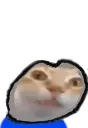 ermgi