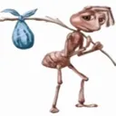 ant