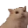scream_cat