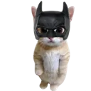 batmeow