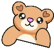 i_bearbongo