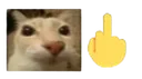 deo
