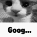 goog
