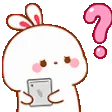 BunnyConfused
