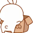 BunnyHide