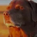 ah