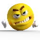 grr8