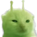 glorpp