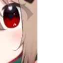 FOCUS2 FOCUS2
