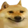 UFO_doghappy