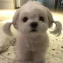 :mary_wtf: