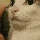 shhhh