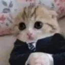 a594613f0b3b8fc712688559c4b4ec0e