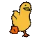 duck_animated
