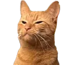 orang