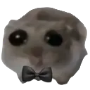 imjustaboy
