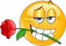 fancyrose