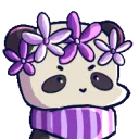niaNodd