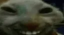 xddshaking