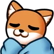 raysComfy